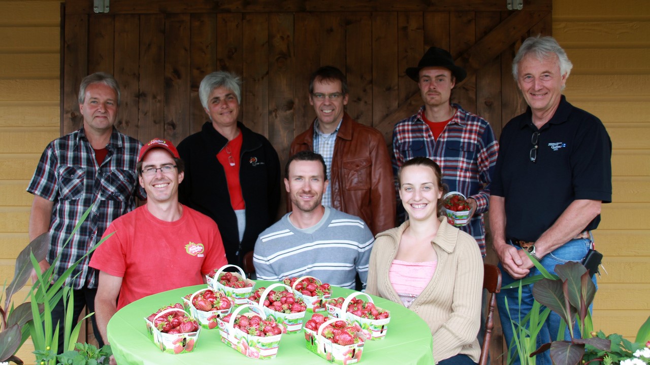 La saison des fraises est lancée en Beauce