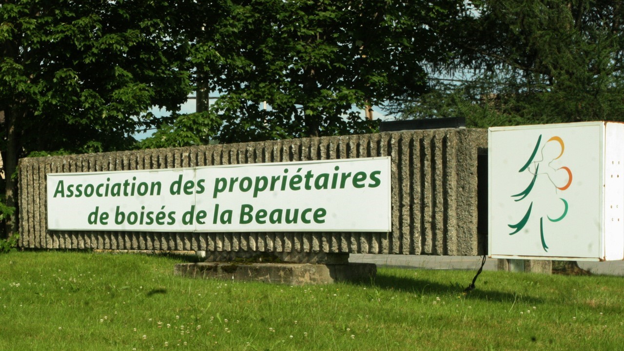 La reprise dans le secteur forestier tarde à se faire sentir chez les producteurs 