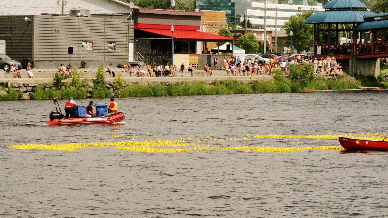 Une course de canards pour financer le Club de Natation Régional de Beauce