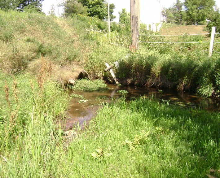 Restauration à la tête de la rivière Cugnet