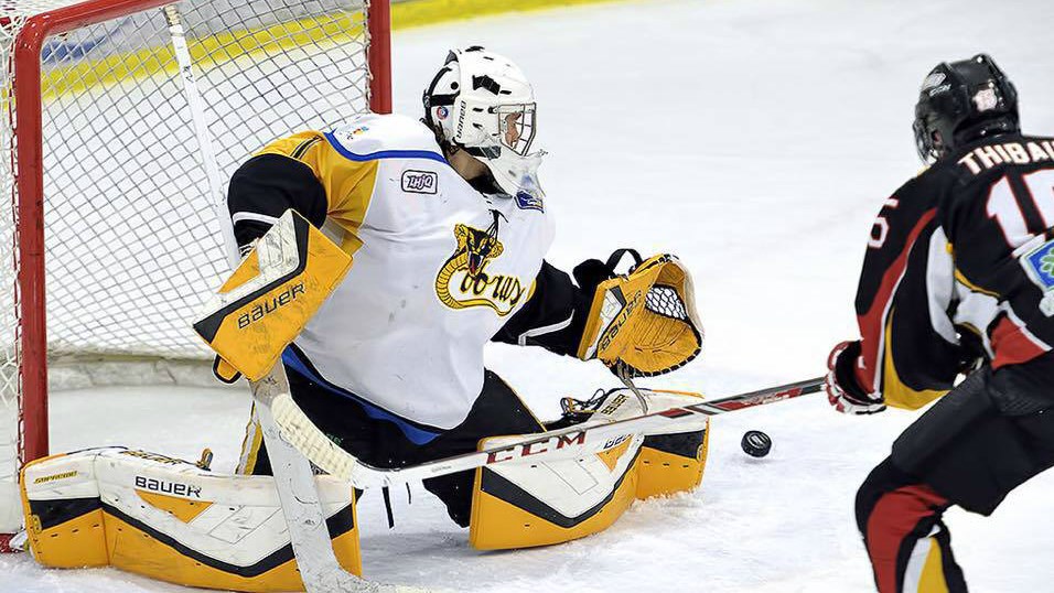 Steven Veilleux cumule les honneurs dans la LHJQ