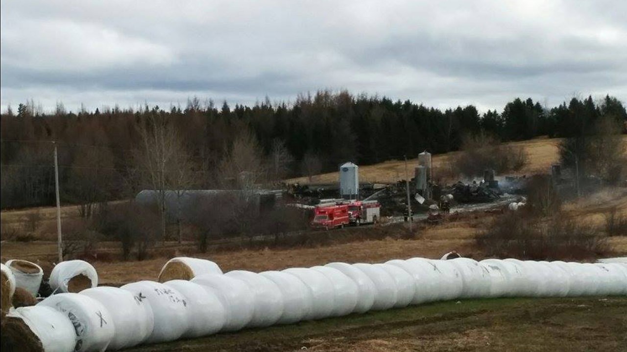 Incendie à Saint-Victor: 400 moutons meurent dans une bergerie