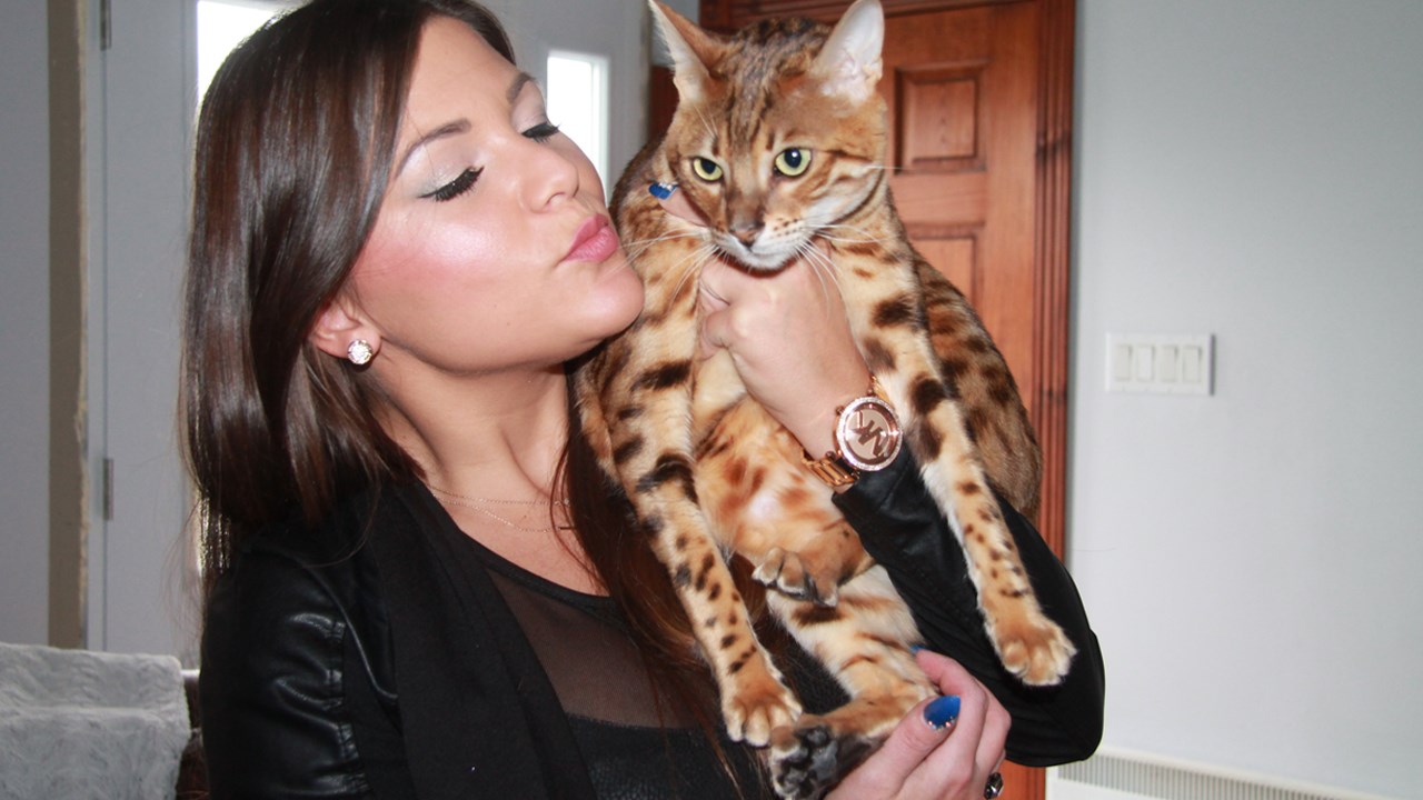Les beaux chats de Bengal de Marie-Ève