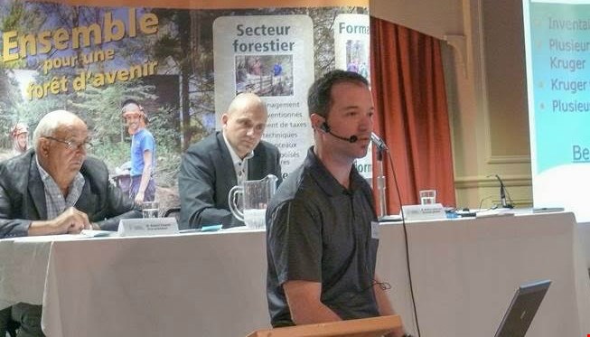 Le prix du sapin-épinette de quatre pieds chute