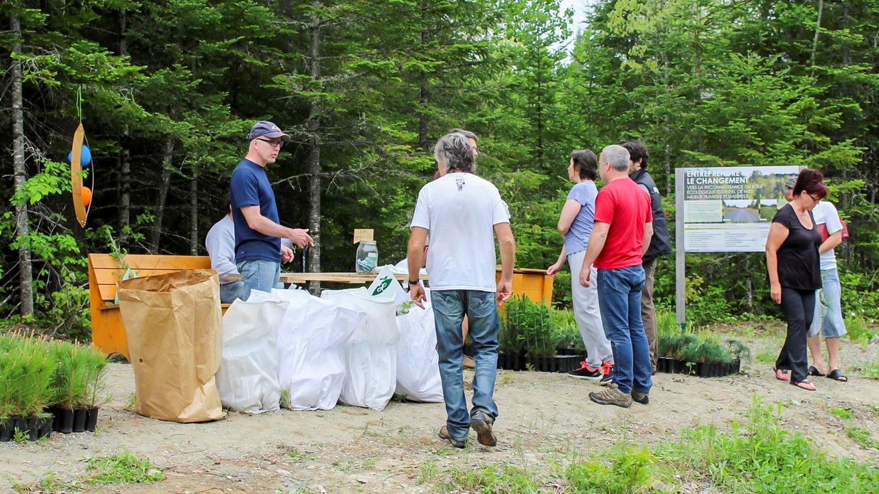 Près de 1 000 arbres distribués gratuitement à Saint-Simon-les-Mines