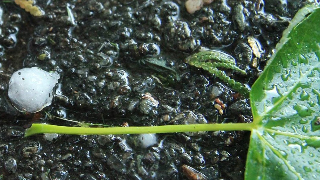 Des grêlons de plus d'un centimètre de diamètre à Saint-Georges