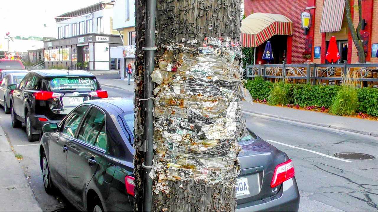 Normand DeLessard présente 60 ans d'affichage sur les poteaux de la 1ère Avenue à St-Georges