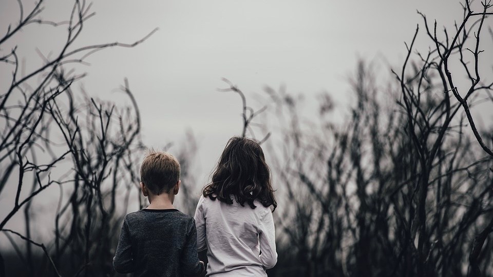 Chaudière-Appalaches : hausse de 14,5% des signalements à la DPJ 