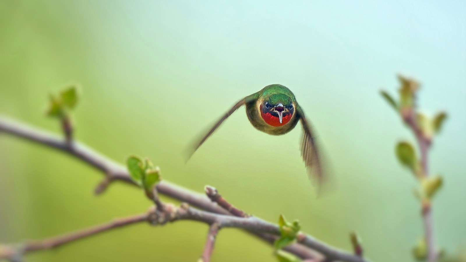 Ville St-Georges dévoile les gagnants du concours de photos Clin d'oeil sur la Beauce 