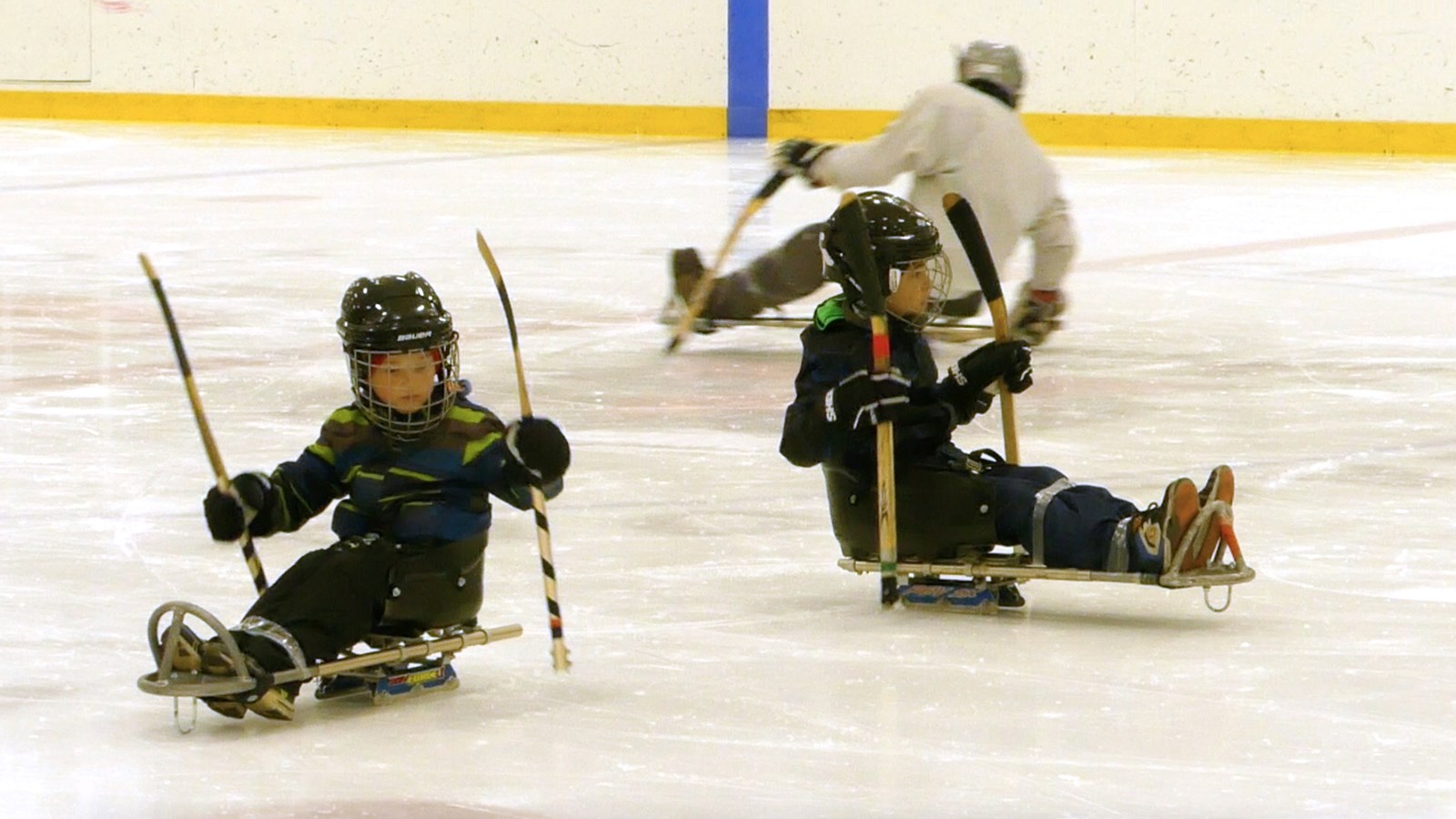 Les Lumberjacks : une ligue de hockey sur luge en Beauce