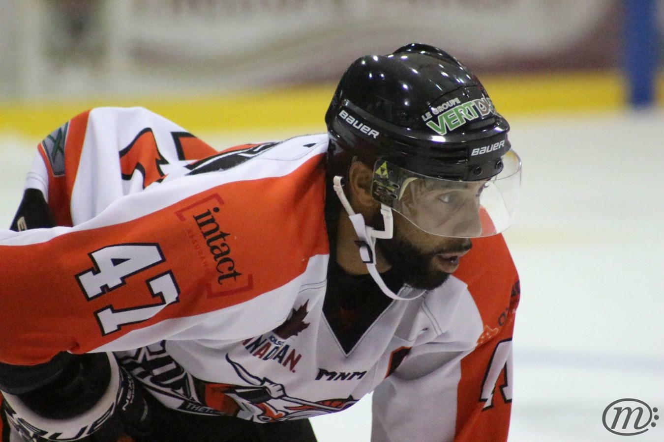 LNAH : Matthew Medley, 2e étoile de la semaine