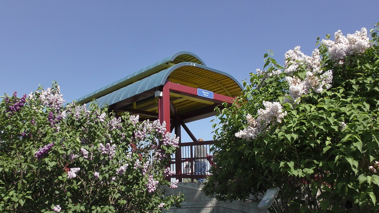 Normand DeLessard présente la Fête des parfums 2018