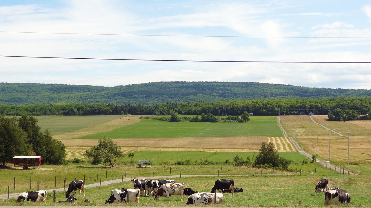Les producteurs agricoles verront bientôt leurs taxes doubler