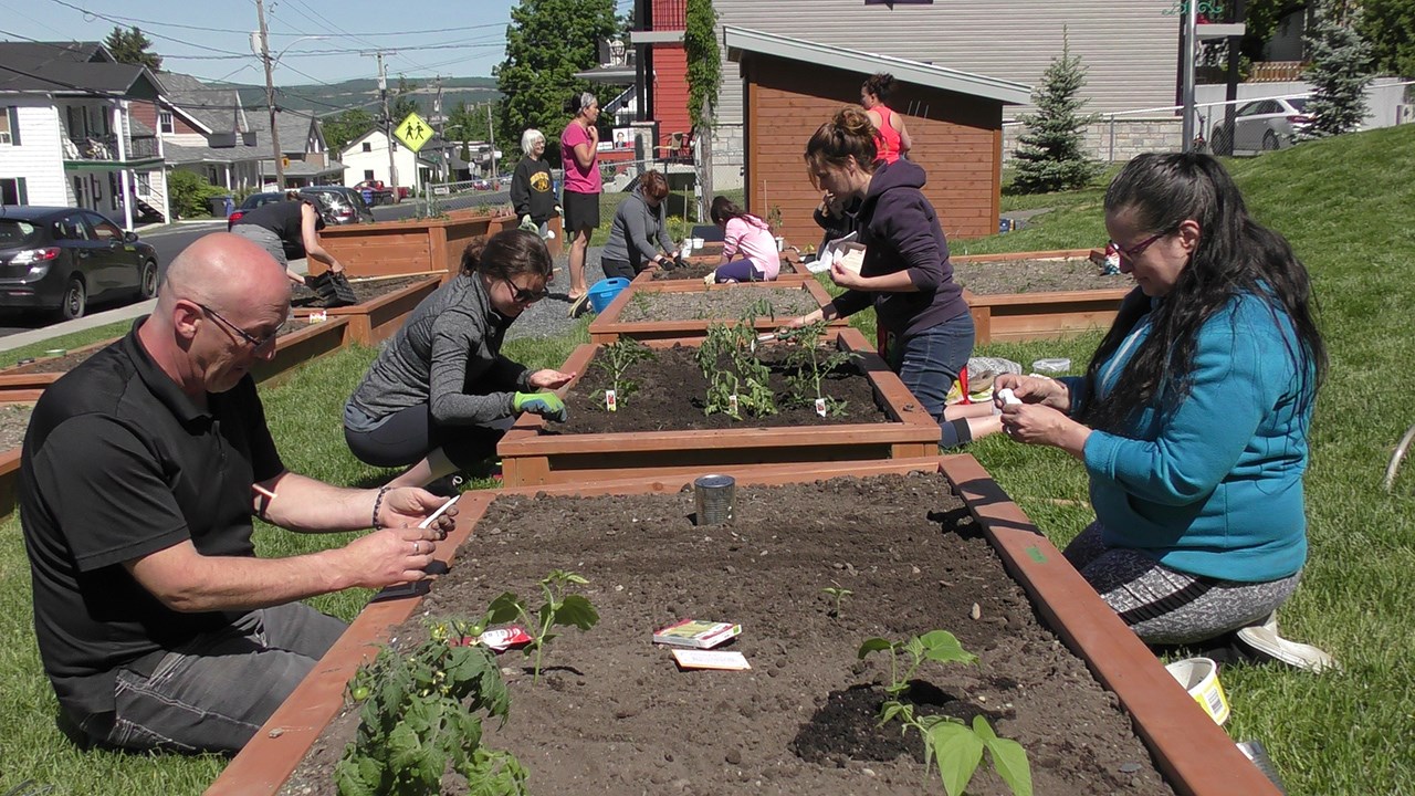 Normand DeLessard présente les Jardins communautaires de Saint-Georges