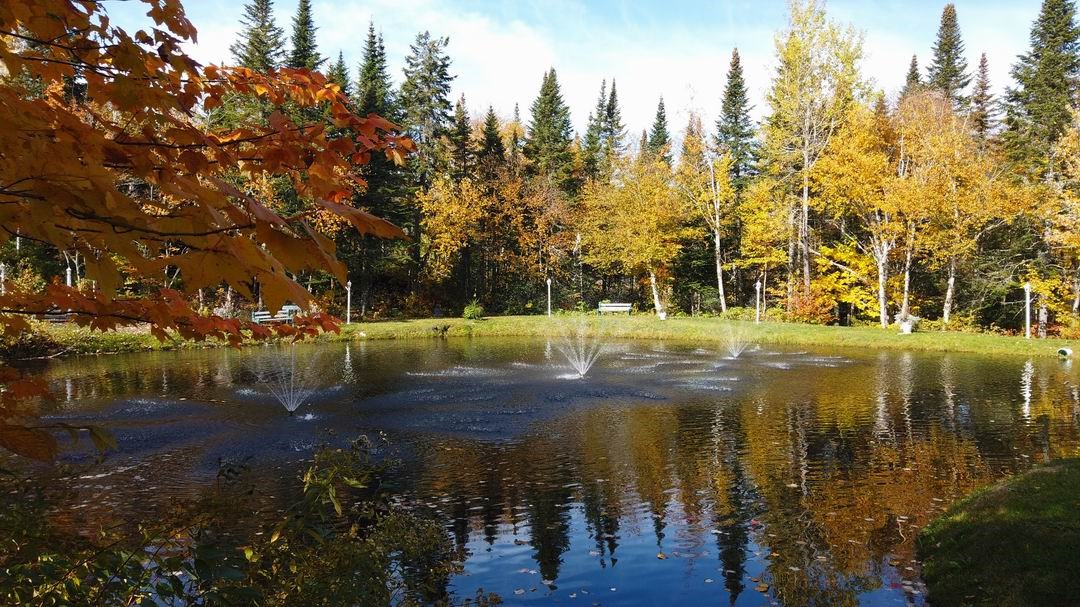 Normand DeLessard présente le Domaine à l'Héritage en automne