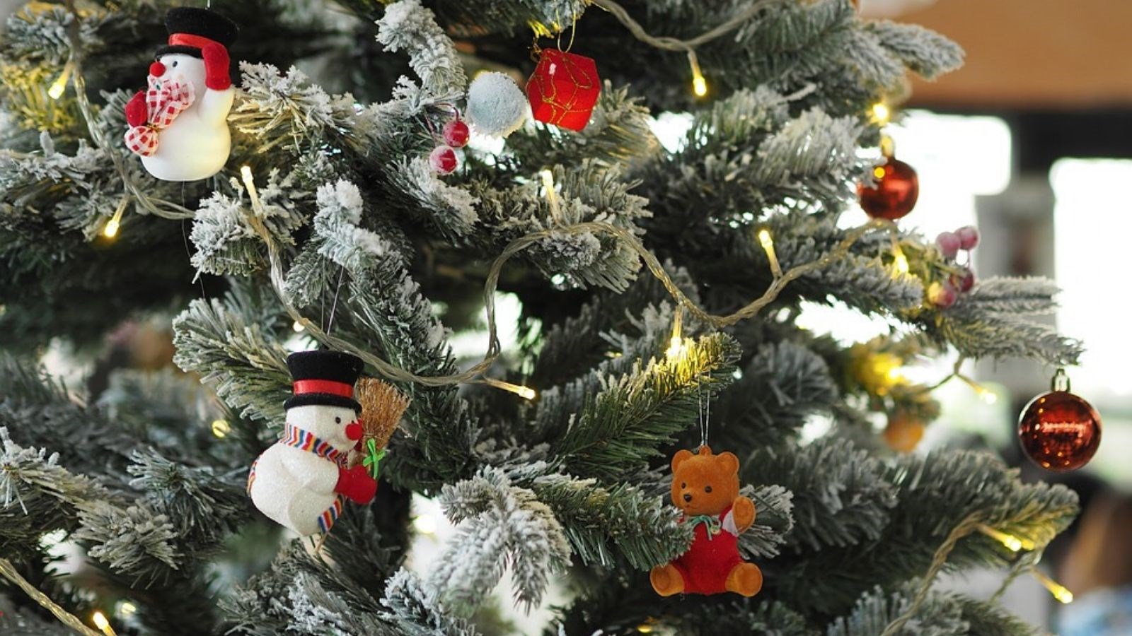 Il sera bientôt temps de vous départir de votre sapin de Noël