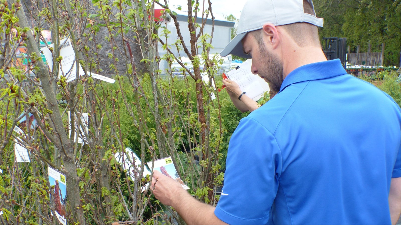 75 arbre attribués pour la 4e édition du concours « Un arbre pour l’avenir » 
