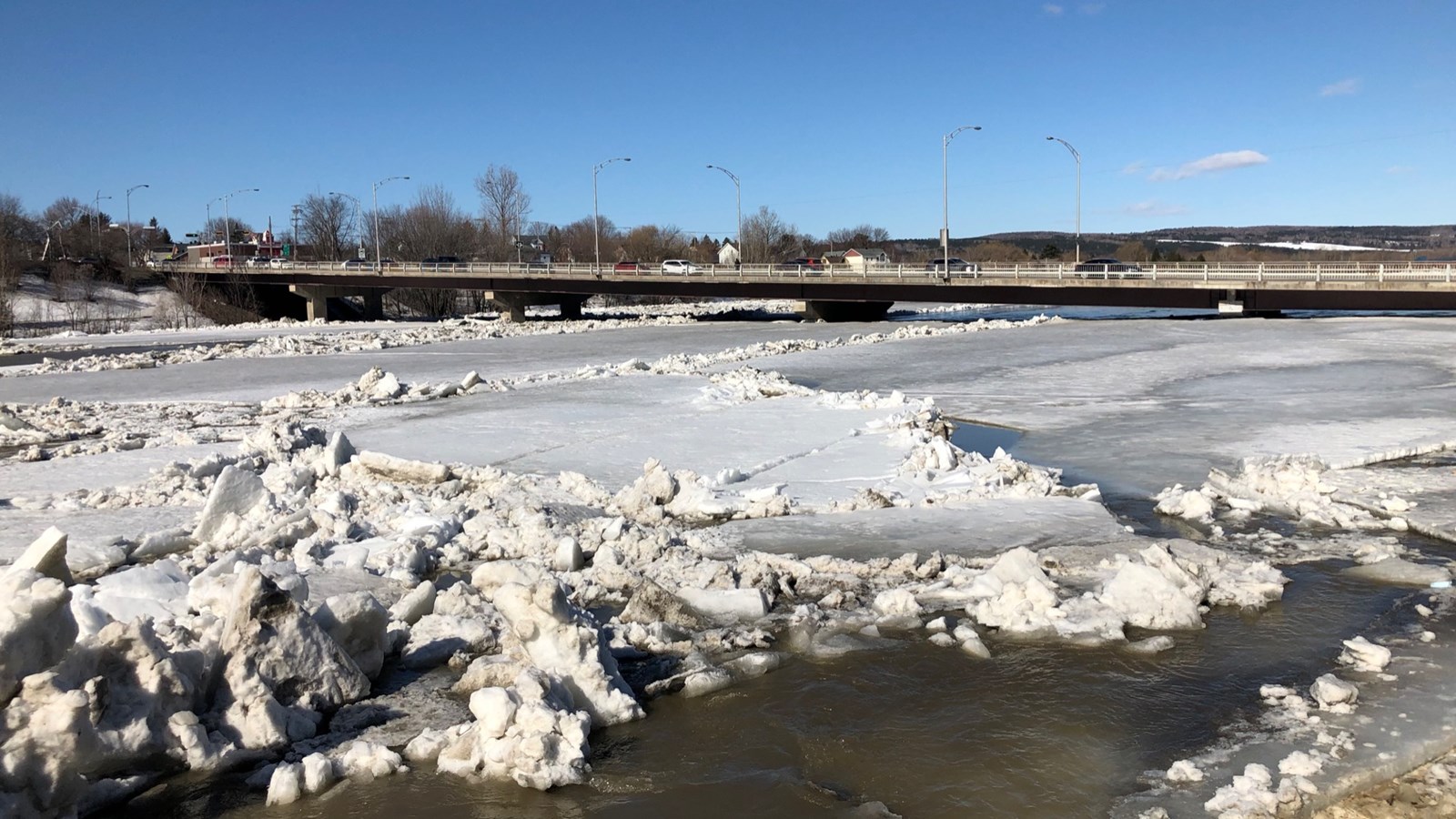Inondations printanières : des commerçants de la 1re avenue sont touchés