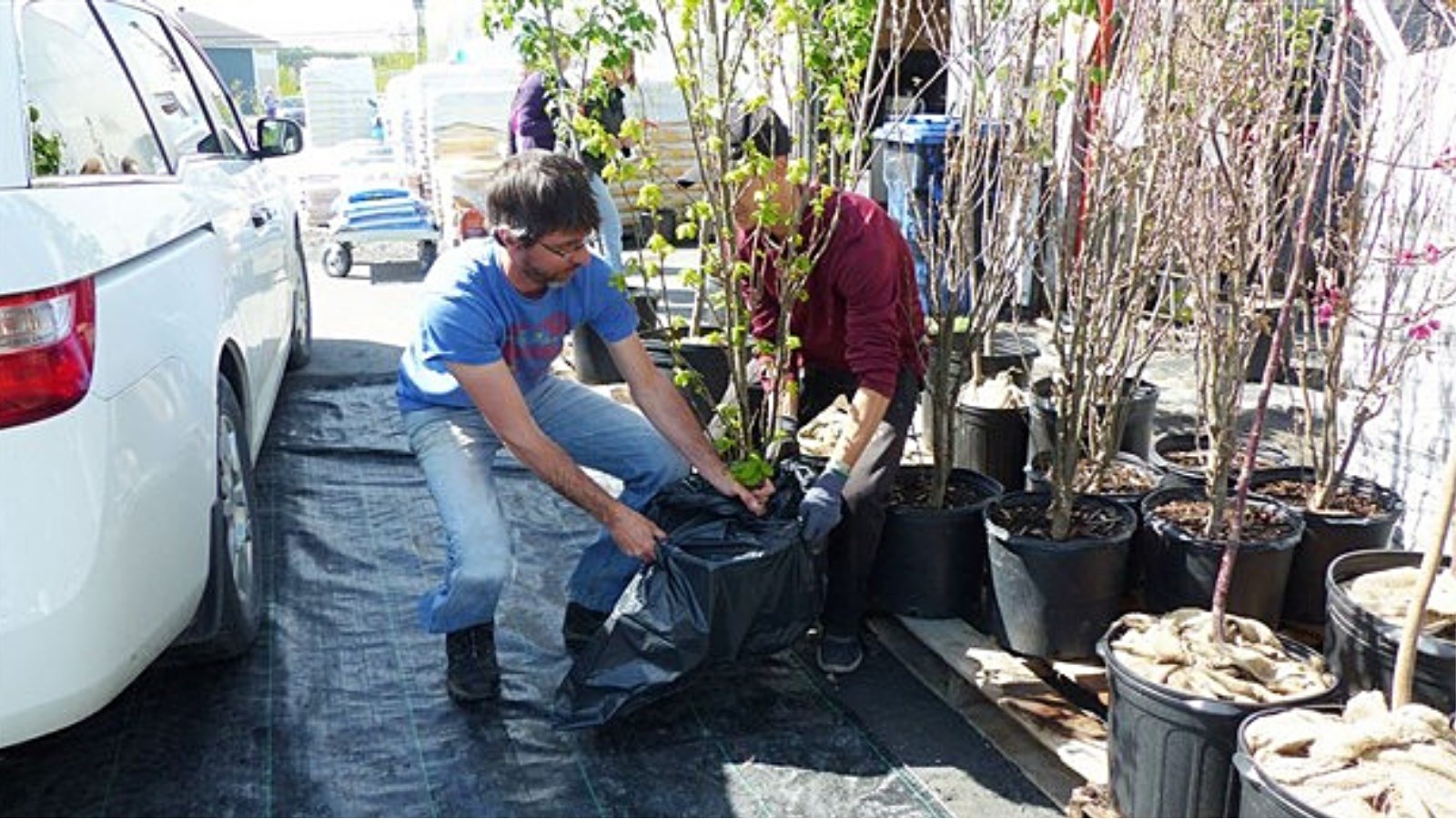 Concours « Un arbre pour l’avenir » 