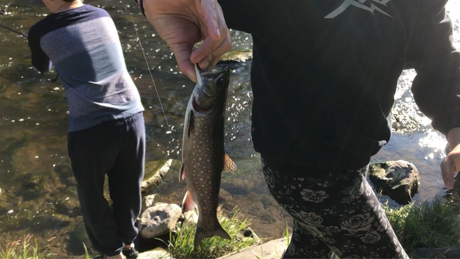Pascal Goyette présente l’événement Pêche en ville 2019