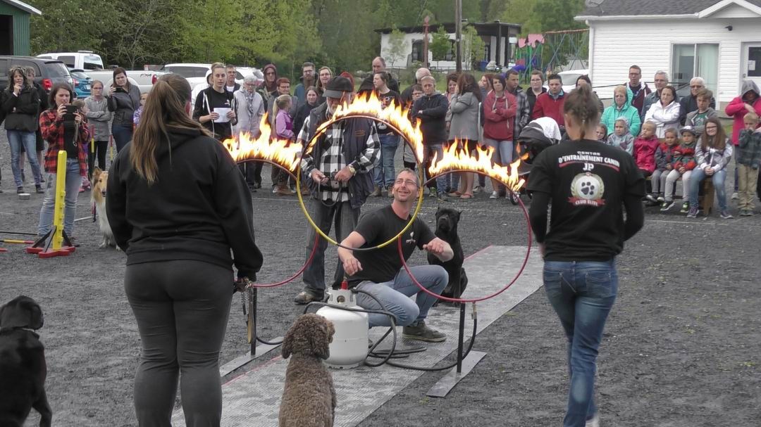 Normand DeLessard présente le spectacle de chiens savants de Saint-Simon-les-Mines