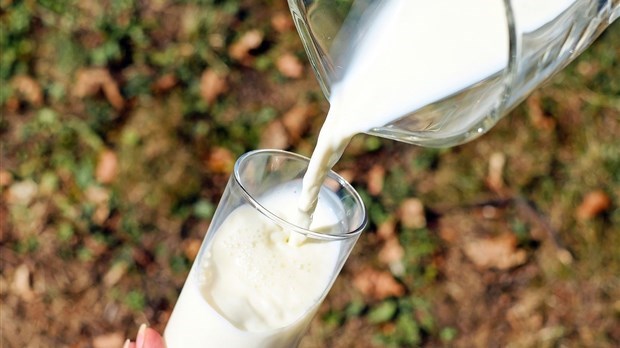 Avis de non-consommation des produits de lait cru préparés dans des productions sans permis
