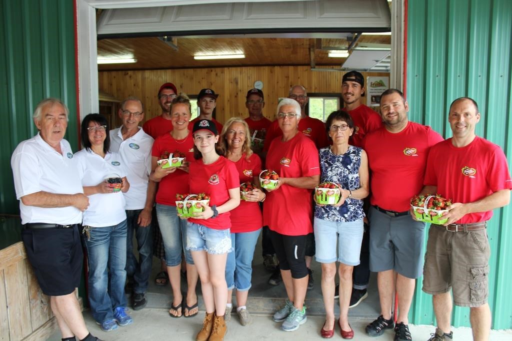 La saison des fraises sera retardée d’une semaine en Chaudière-Appalaches