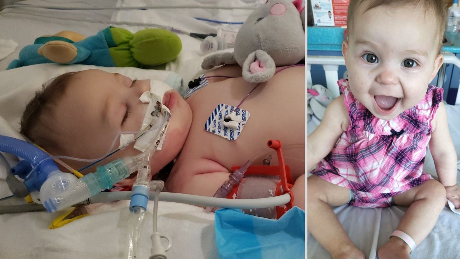 Déménager pour leur fille malade, une famille de St-Zacharie a besoin d'aide 