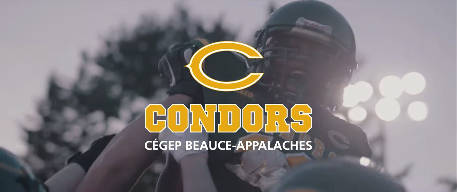 Nous sommes Condors et fiers de l'être!