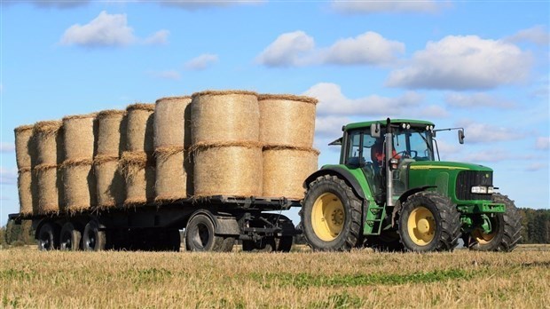 Prévenir le suicide chez les agriculteurs de la région