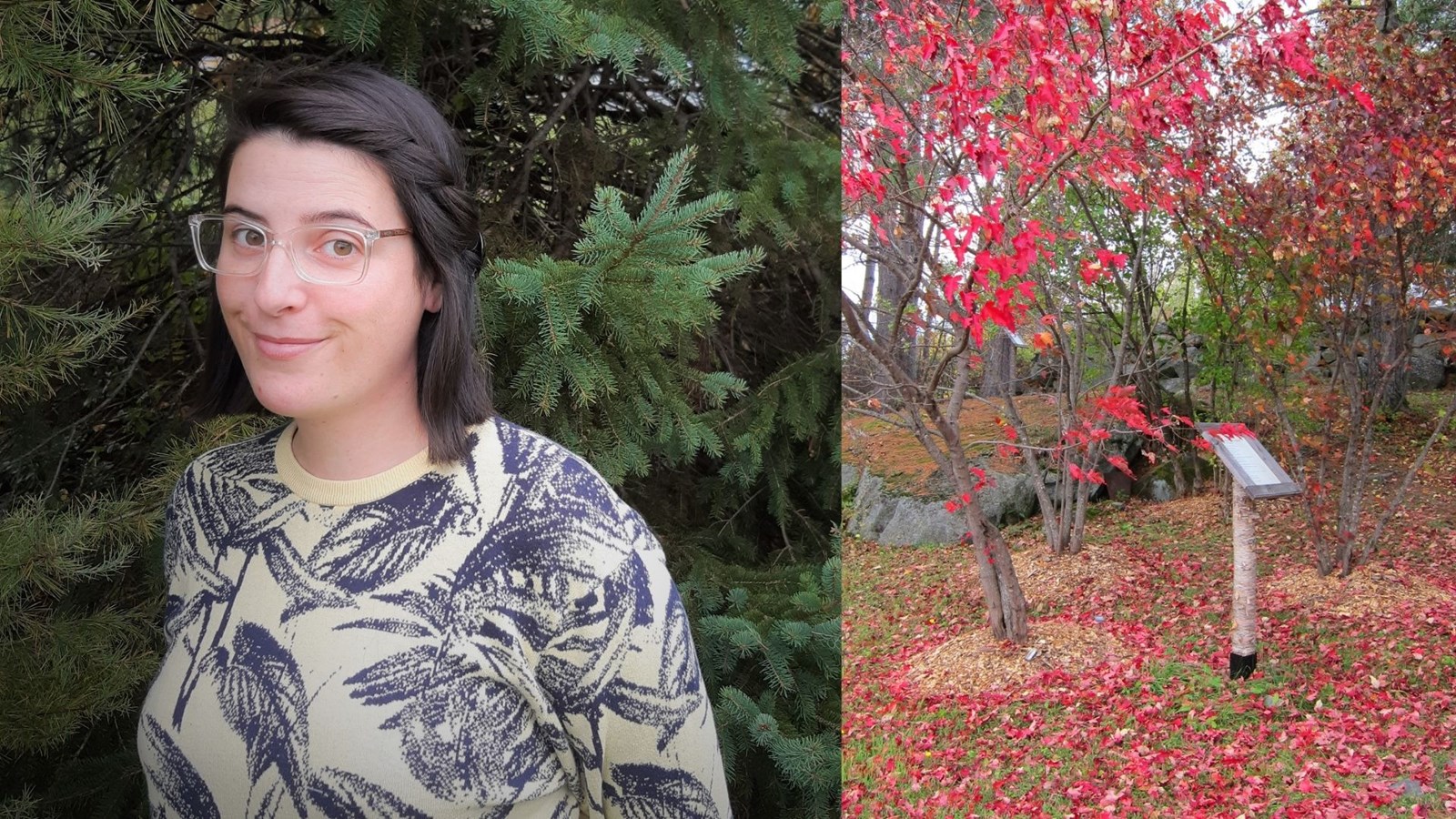 « Ma plume au sous-Bois » dévoile ses gagnants