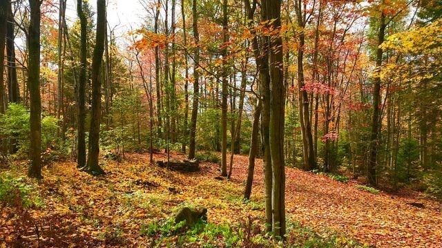 Captez-nous en photos la belle saison des couleurs — GALERIE 7