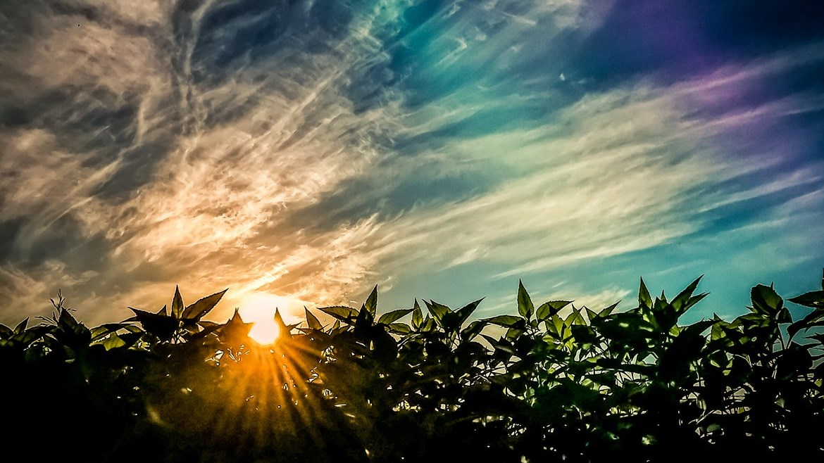 Concours "Clin d'oeil sur la Beauce 2020" : plusieurs photographes amateurs récompensés