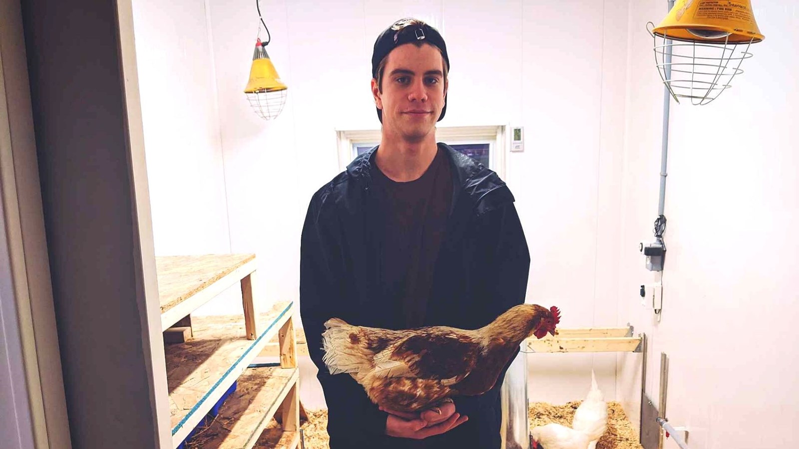 Justin Roy réalise son « rêve d'enfant » : construire un poulailler
