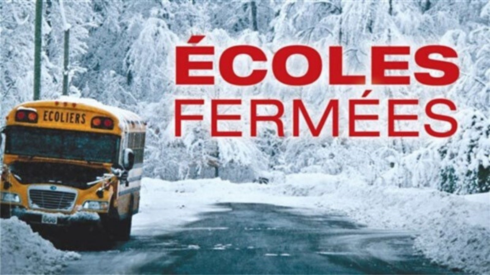 La CSBE suspend ses cours dans toutes les écoles et tous les centres