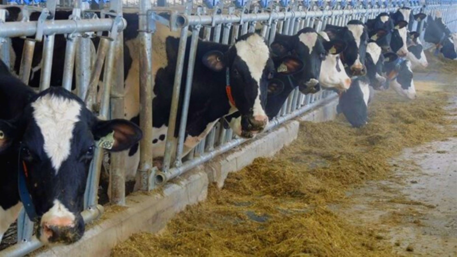 Un investissement de 252 M$ pour le secteur agroalimentaire du Canada