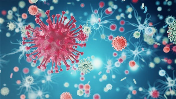 COVID-19 : la Beauce ne compte aucun nouveau cas