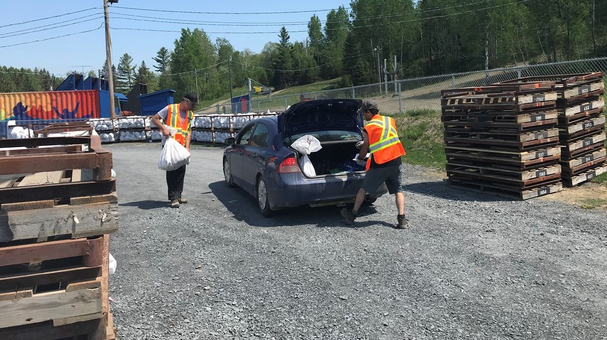 Plus de 84 000 plants de feuillus distribués par l'Association des propriétaires de boisés de la Beauce