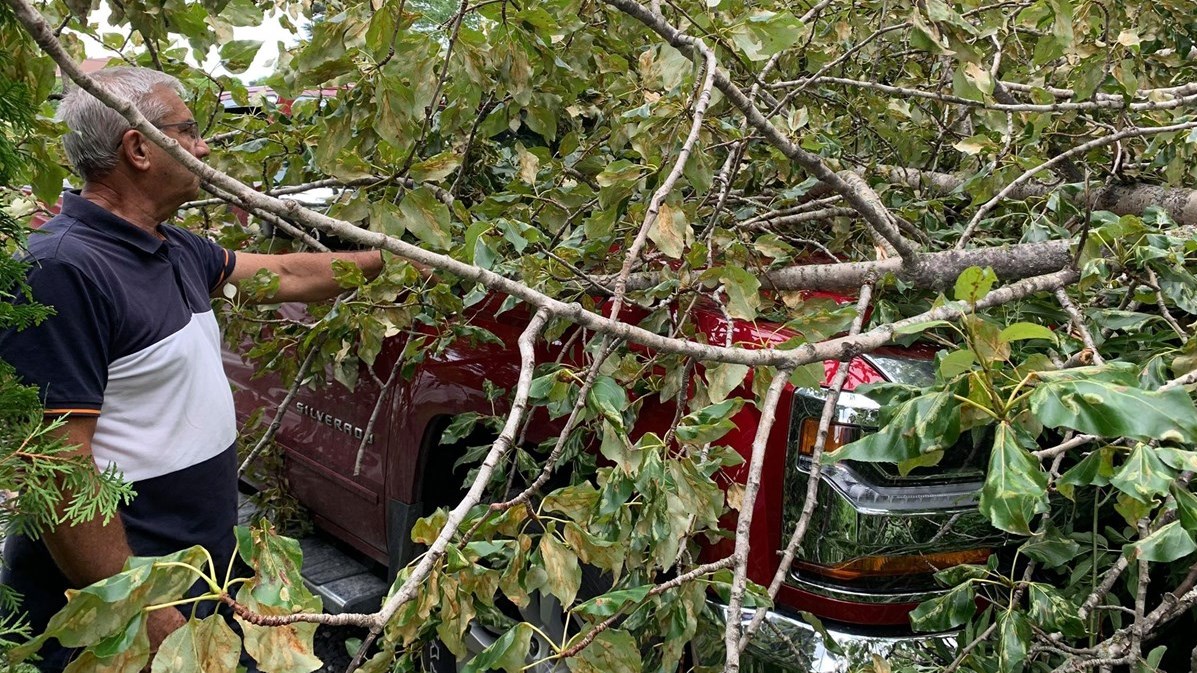 Les vents d'Isaias font tomber un arbre sur son camion
