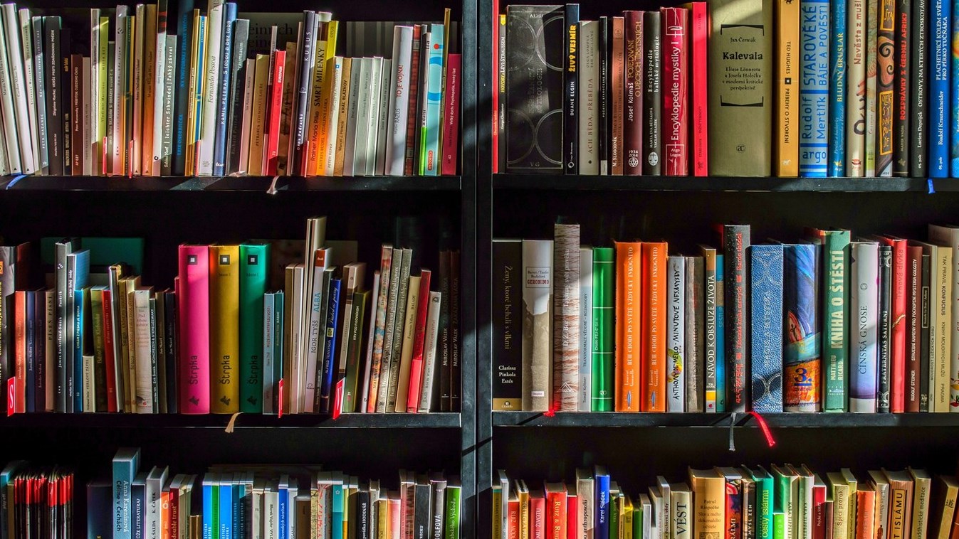 Cinq livres à découvrir pour la journée « J’achète un livre québécois »