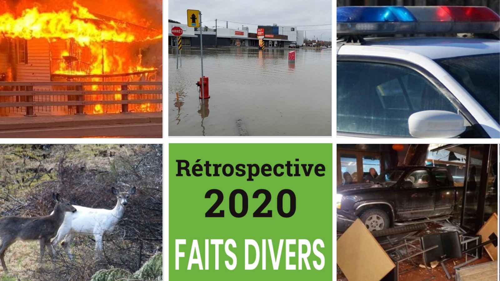 Les faits divers de l'année: janvier à juin