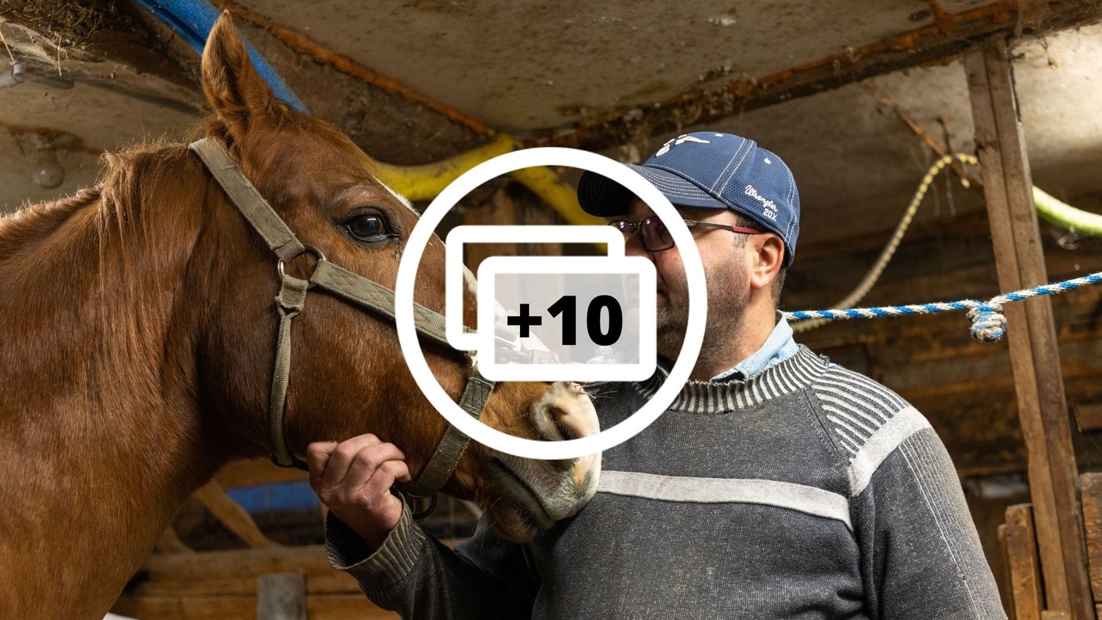 Rencontre avec le maréchal-ferrant Maxime Poulin