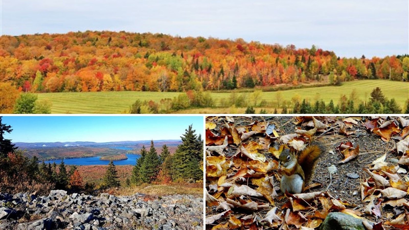 Envoyez-nous vos photos sous le thème : l'automne tout en couleur!