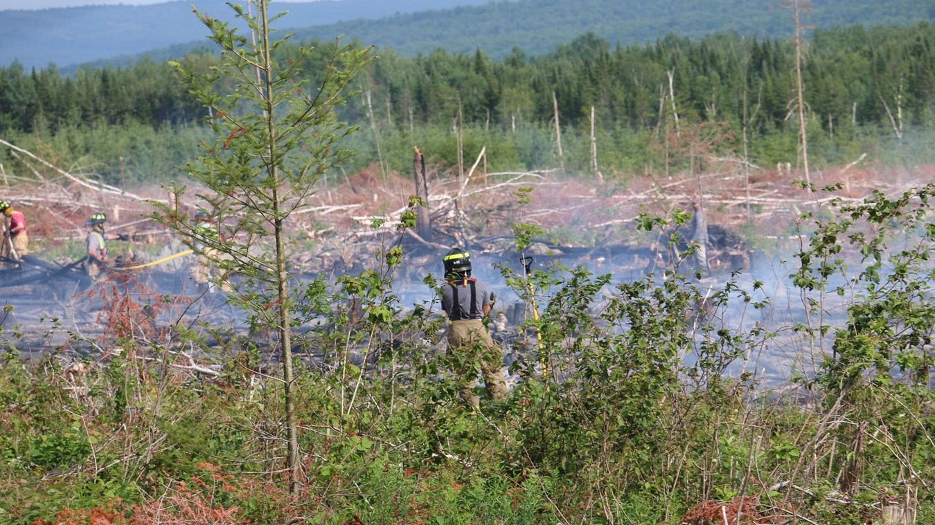 Les activités humaines automnales sont un fort risque de feux de broussailles