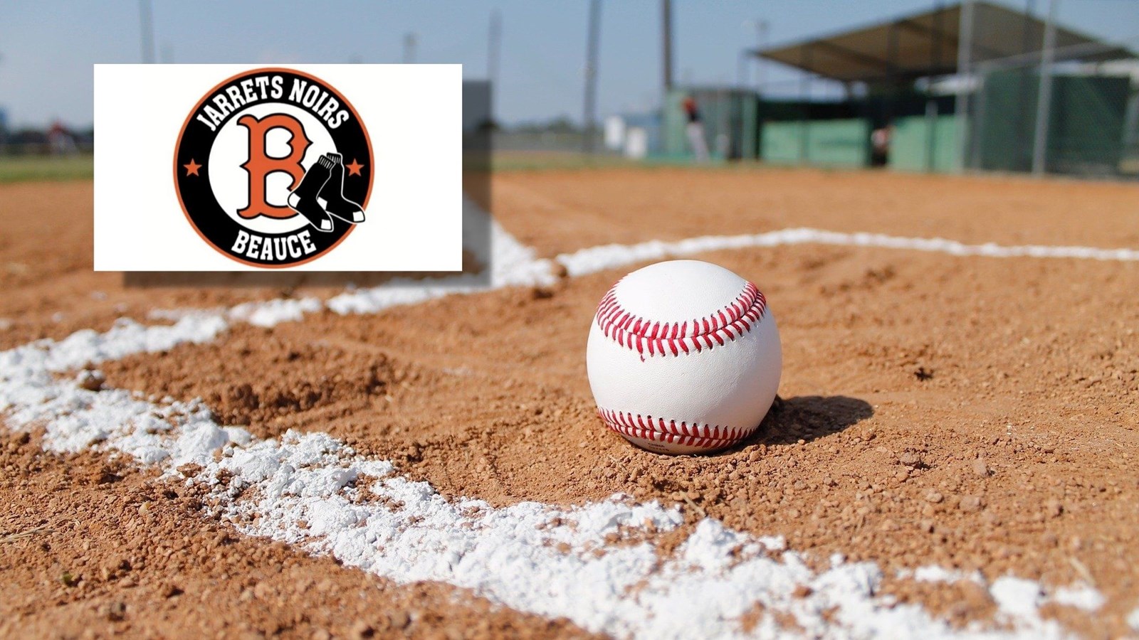 Acculés au pied du mur, les Jarrets Noirs n’ont plus le choix