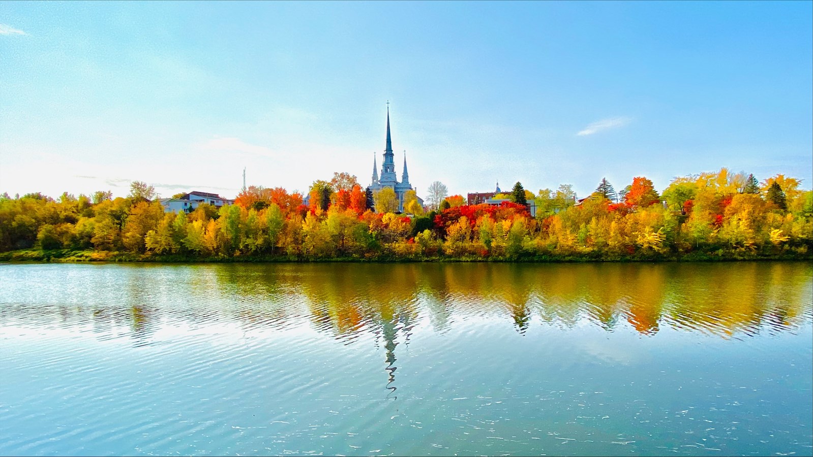 Photorama 2 : l'automne tout en couleur !