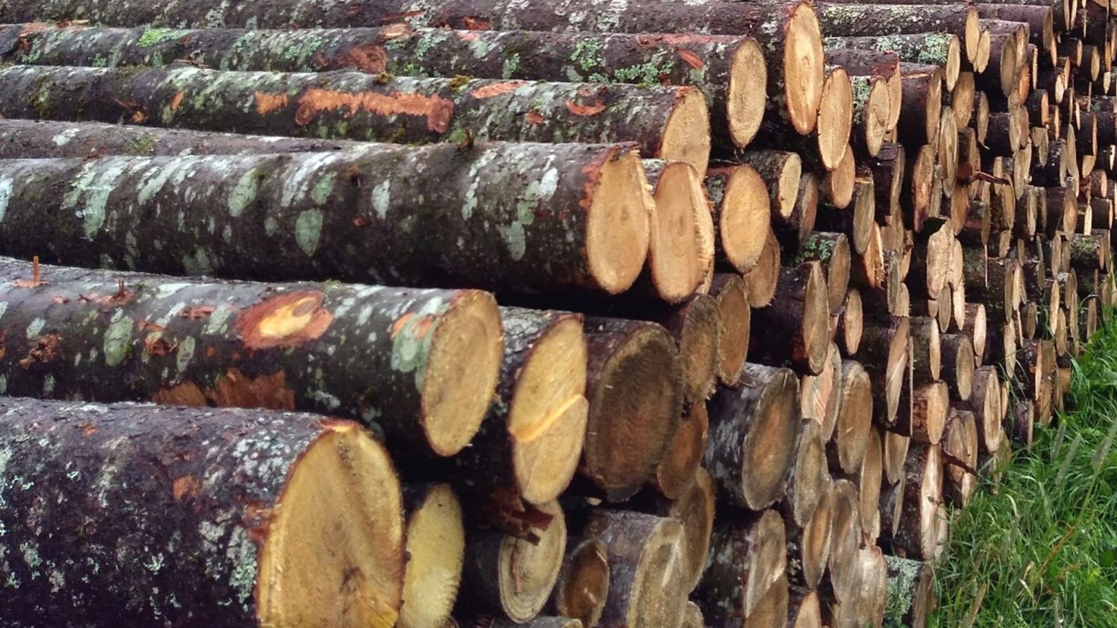 L’APBB revendique le droit à l’équité dans les prix aux producteurs