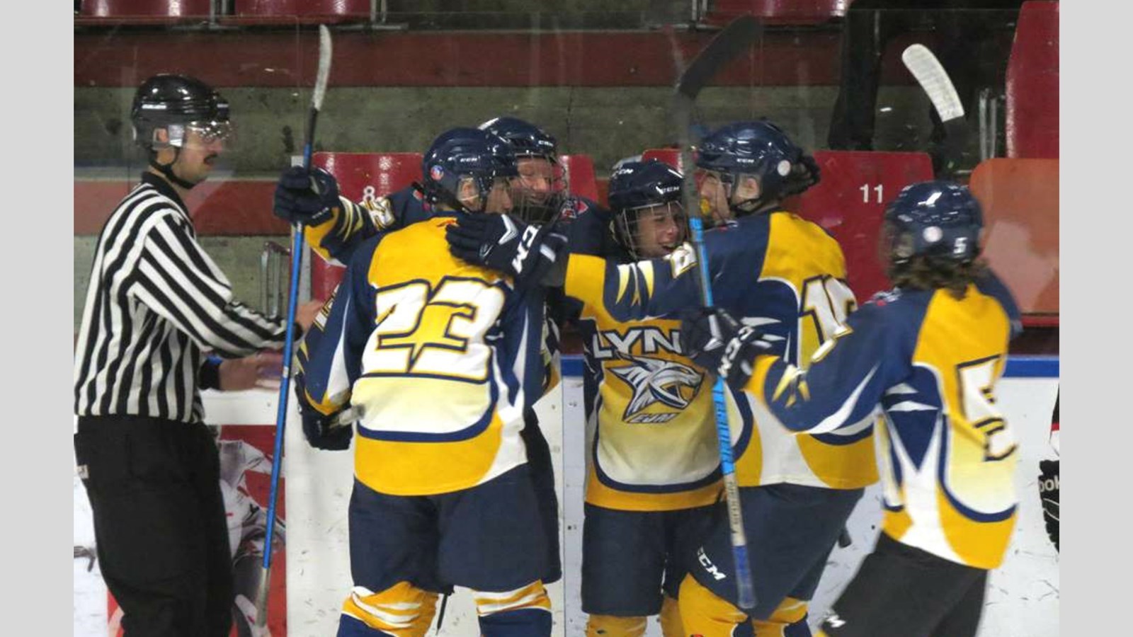 Hockey des Lynx: dix matchs disputés en fin de semaine