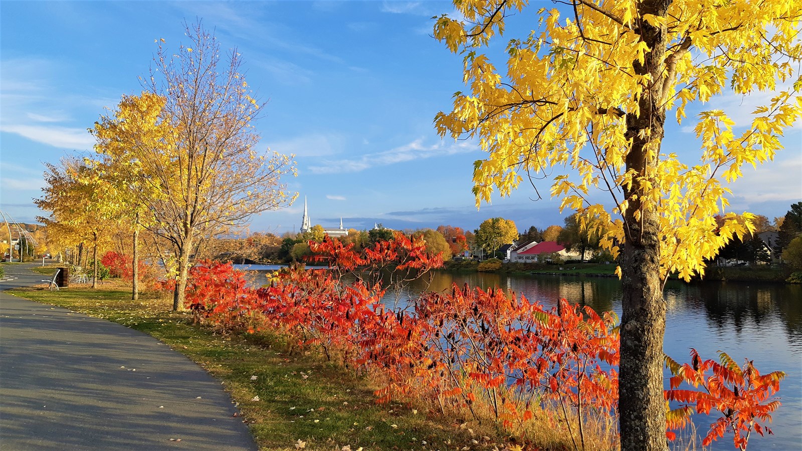 Photorama 4 : l'automne tout en couleur !