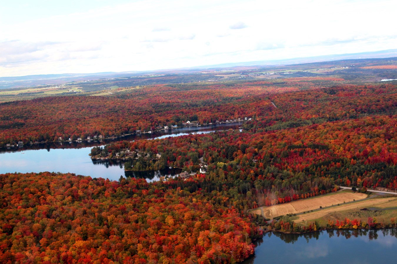 Photorama 5 : l'automne tout en couleur !